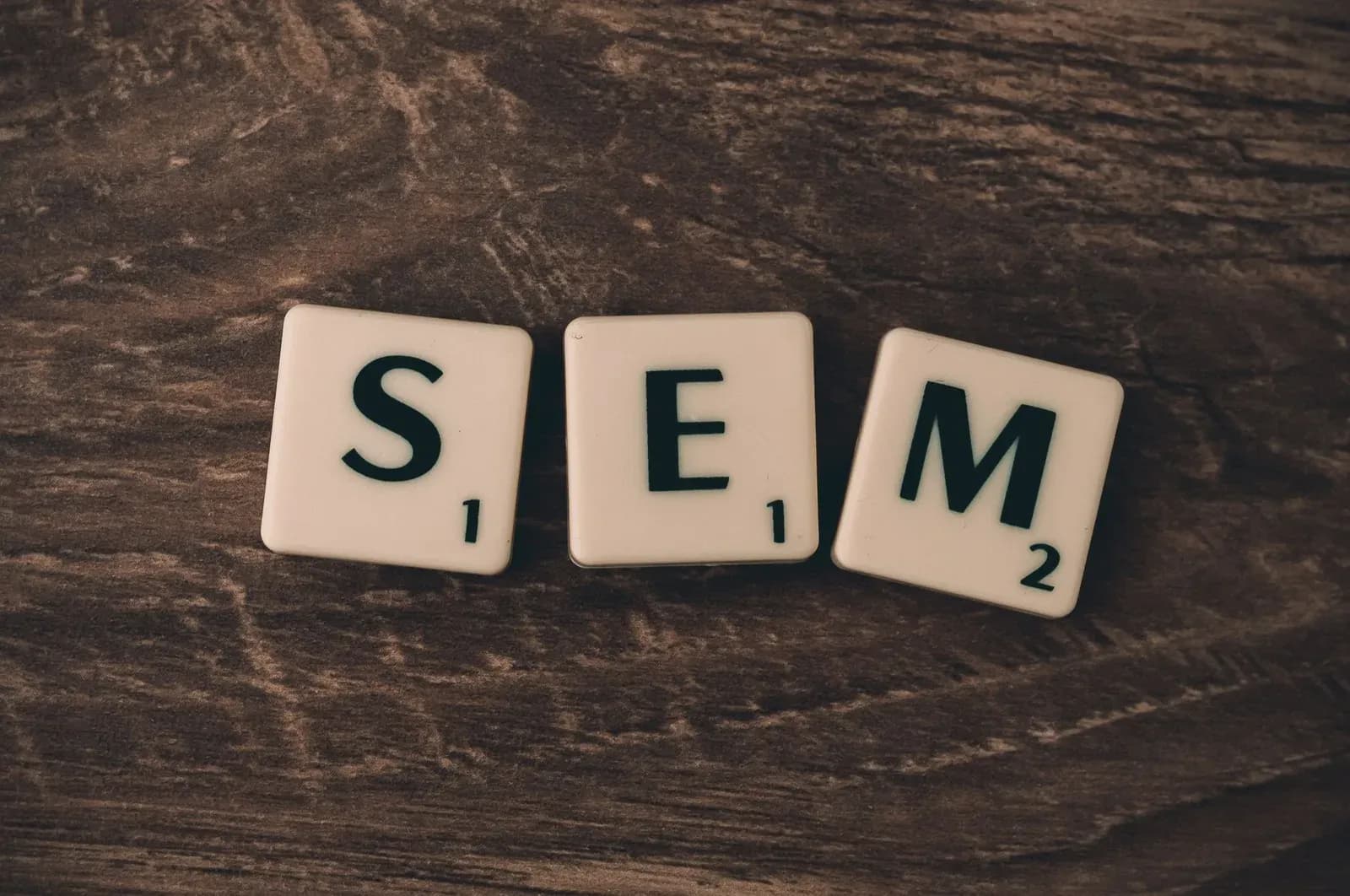 Google Ads management driving revenue and qualified leads